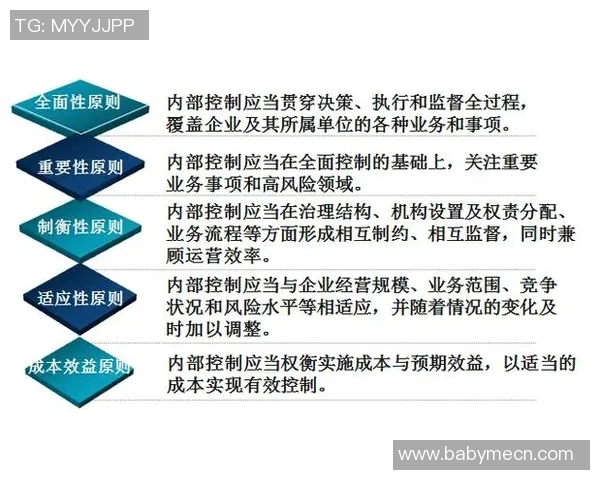 深圳篮球队的战术运营体系探讨与实践分析